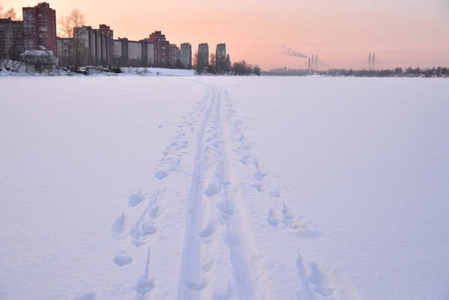 冬季景观与越野滑雪道在圣彼得堡俄罗斯郊区。