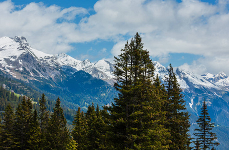 夏季阿尔卑斯山的山景，山坡上有冷杉林，在遥远的奥地利，雪覆盖了岩石顶部。