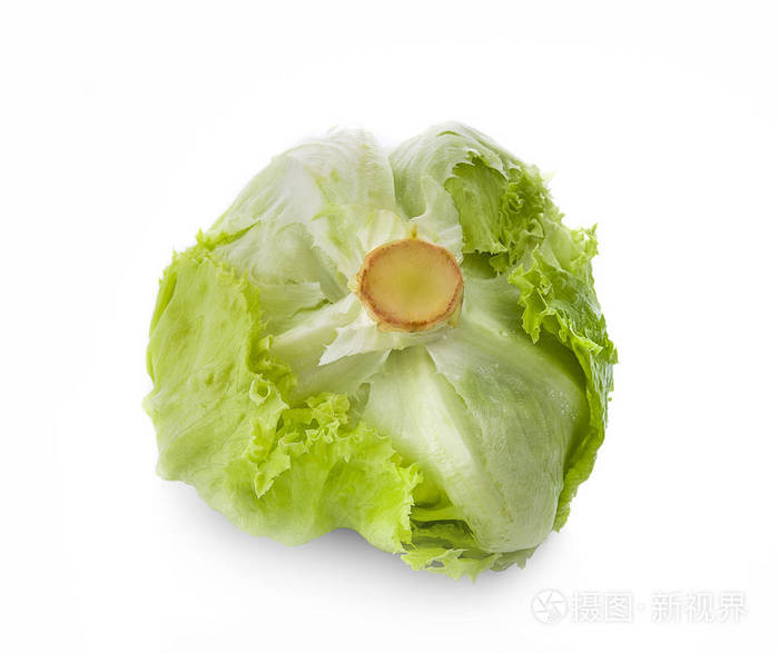 白色背景上的绿色冰山生菜