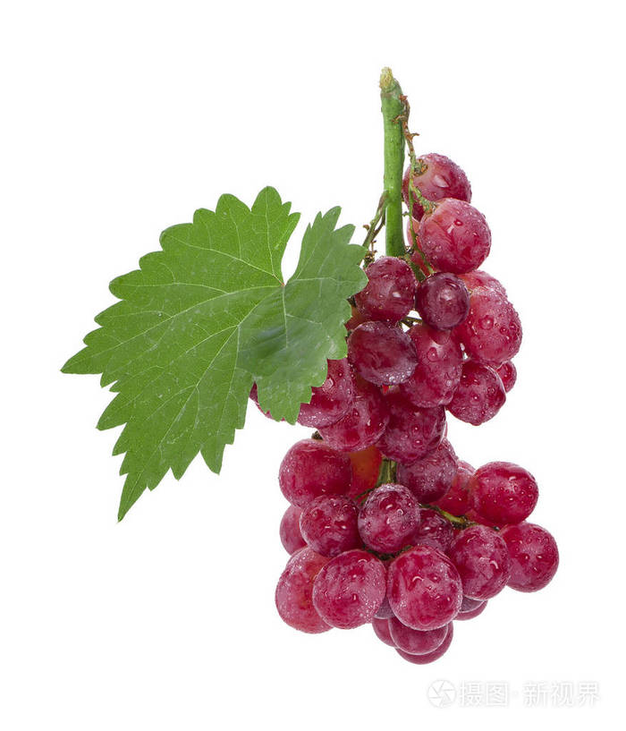 成熟红葡萄,叶白背景分离