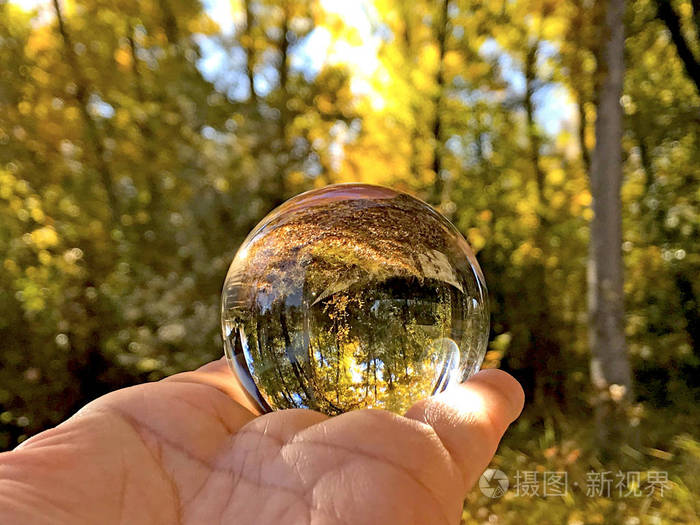 一个人手里拿着一个水晶球在秋天的时候把树倒在森林里