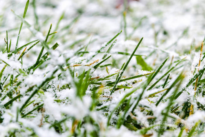 冬天的草地上长满了霜