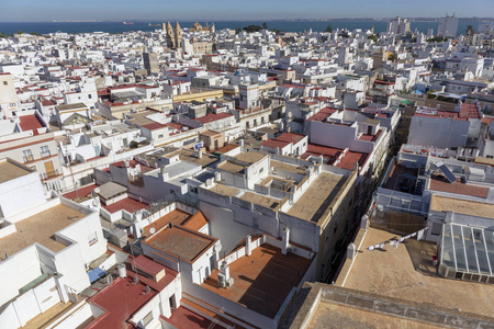 上午从卡迪兹安达鲁西亚塔维拉俯瞰古老城市屋顶和圣克鲁斯大教堂的空中全景，西班牙欧洲