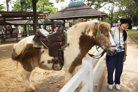 泰国女旅行者旅行，与矮马合影，站立放松，并于2018年11月13日在泰国萨拉布里的动物农场吃食物。