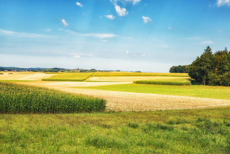 s Farmlandscape