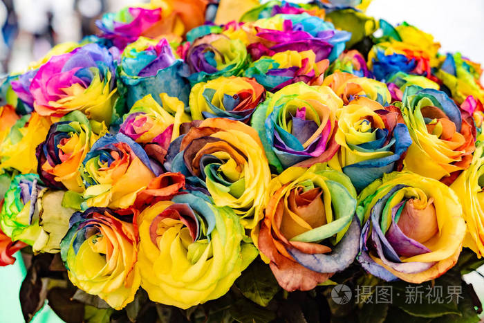 五颜六色的玫瑰花束自然背景