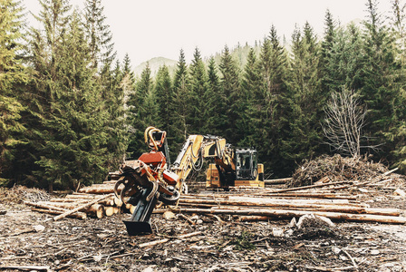 林中木工机械拖拉机收割机..原生木加工，修剪枝条..砍伐森林。
