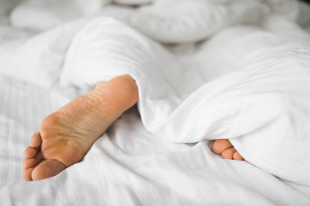 躺在毯子下面的白色床上的鹿照片