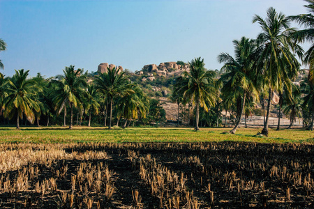 印度南部卡纳塔克邦汉比周围的景观和自然