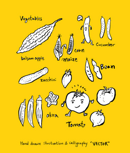 手绘食物成分蔬菜水果插图矢量图片