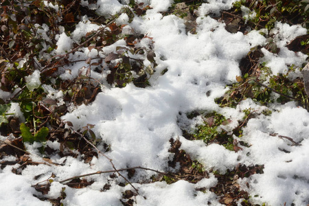 意大利南部坎帕尼亚雪山景观2019年1月9日。