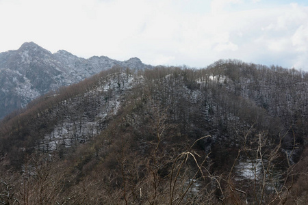 意大利南部坎帕尼亚雪山景观2019年1月9日。