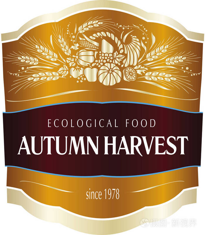 秋季收获节日海报或包装标签有机食品设计。 矢量插图