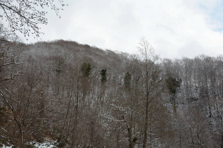 意大利南部坎帕尼亚雪山景观2019年1月9日。