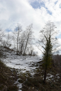 意大利南部坎帕尼亚雪山景观2019年1月9日。