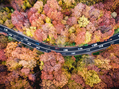 公路上的交通拥挤，在森林中，汽车卡在山区的交通堵塞的道路上