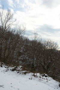 意大利南部坎帕尼亚雪山景观2019年1月9日。