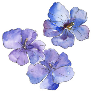 蓝色紫色亚麻。 花卉植物花。 野生春叶野花隔离。 水彩背景插图集。 水彩画时尚服装。 孤立的亚麻插图元素。