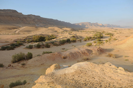 日出时的沙漠景观。 徒步旅行沙漠部分以色列国家小径。 内格夫沙漠。 山谷。 五颜六色的沙滩