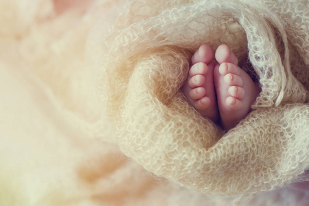可爱的新生婴儿脚包裹舒适的织物。