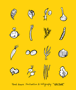 手绘食物成分蔬菜水果插图矢量图片