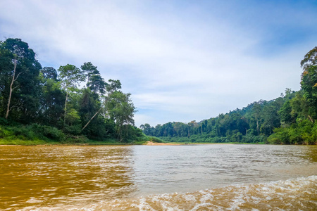 马来西亚塔曼尼加拉国家公园的河流和丛林景观
