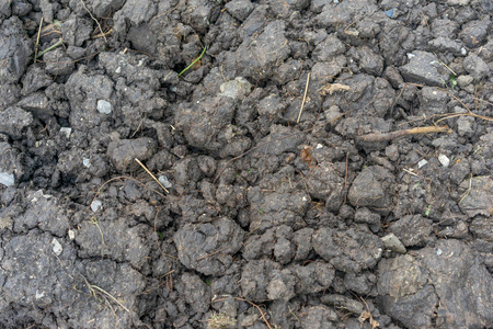 肥沃的黑土地图片