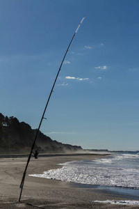 s day. Photographed in the Bay of Plenty, New Zealand