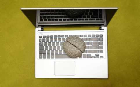 灰色笔记本电脑和键盘上的人脑顶部视图