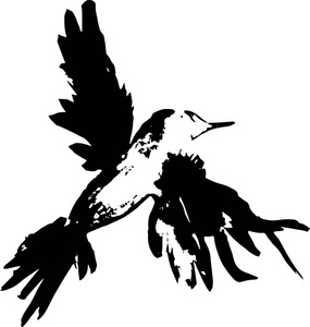 飞禽的插图。用墨水做的喜虫或乌鸦