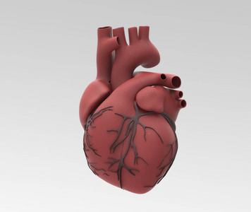 三维橡胶人心脏与黑色静脉插图隔离在浅灰色背景与剪裁路径,用于任何