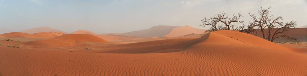 风景如画的纳米比亚沙漠景观全景，巨大的红色沙丘对蓝天附近著名的死谷。 纳米比亚国家公园典型的沙漠环境野生动物摄影。