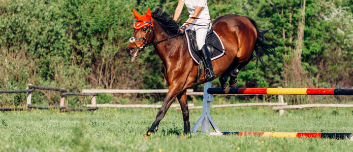 一位女骑师骑着一匹马参加跳跃比赛。