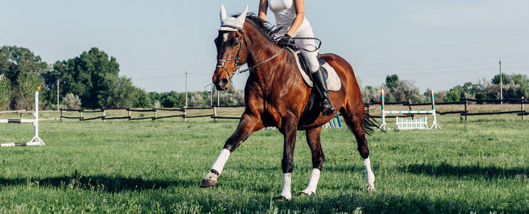一位女骑师骑着一匹马参加跳跃比赛。