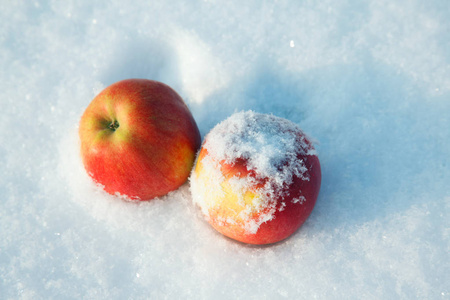 冬天白雪上的苹果