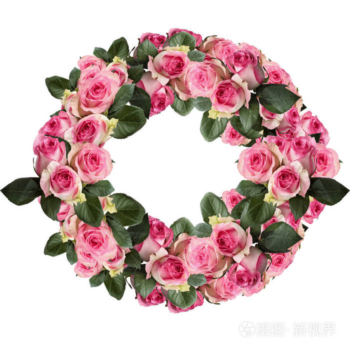 美丽的粉红色和白色玫瑰花环,叶子排列和隔离在白色的背景上.