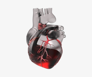 三维玻璃人体心脏与静脉和血流渲染插图隔离在白色背景与剪裁路径，用于任何背景下的模切