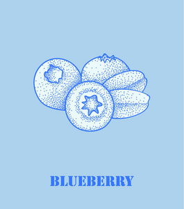矢量蓝莓图标
