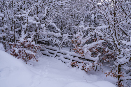 白雪覆盖了树林中的木门