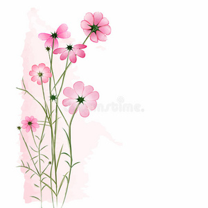 白底红色花图片