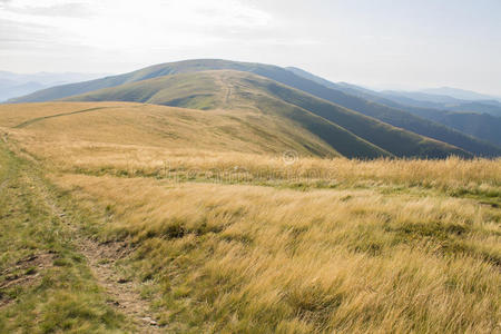 山路