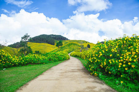 山里的路。