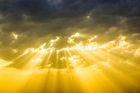 阳光下的桌椅背景_阳光下的桌椅摄影图片_阳光下的桌椅壁纸_摄图网