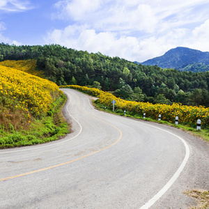 山路弯道