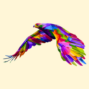 彩色飞鹰流行艺术风格