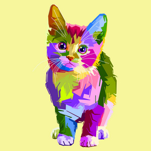 五颜六色的无辜猫和非常可爱照片