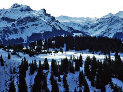 瑞士圣加伦州格勒罗斯阿尔卑斯山山脉高山峰上的冬雪