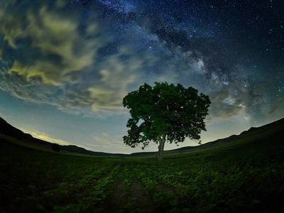 罗马尼亚多布罗吉地区上空银河系的夜景