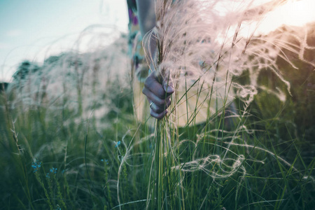 s hand tears several stems of a plant.