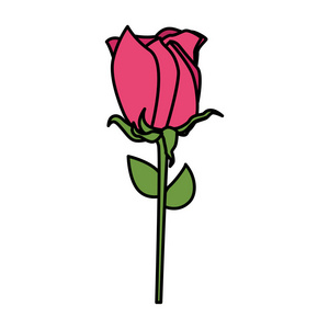 美丽的玫瑰花装饰图标
